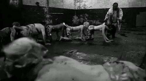 人体蜈蚣在线观看手机,惊悚悬疑，揭秘人体极限的恐怖之旅  第3张